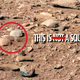 Image for article titled NASA totally found a squirrel on Mars and didn't tell anybody